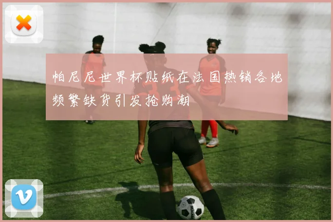 帕尼尼世界杯贴纸在法国热销各地频繁缺货引发抢购潮
